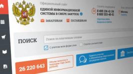 Хакасия потеряла на госзакупках 605 миллионов рублей