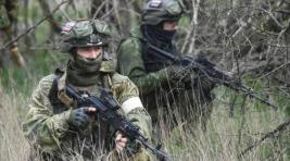 ВС РФ прорвали оборону боевиков в Харьковской области
