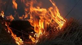 Сено и трупы: за выходные в Хакасии произошло пять пожаров