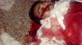 Соратников бин Ладена убили из супероружия (фото)